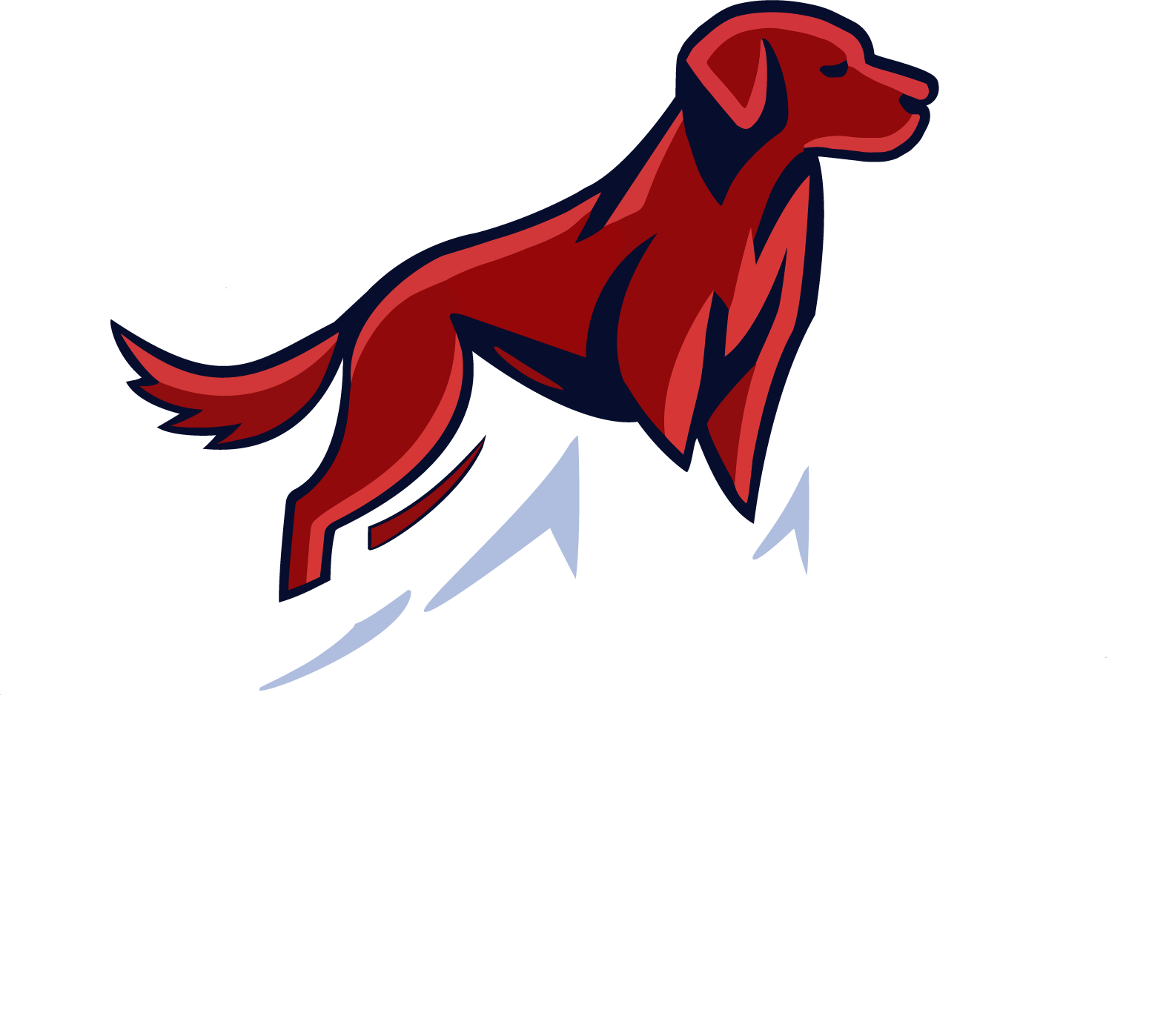 About Us Red Dog Advisors